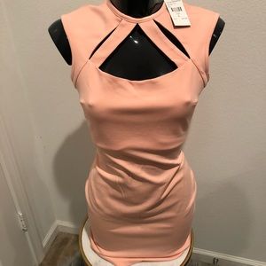 Fashion Nova dress